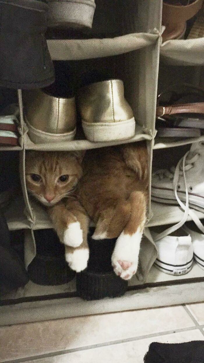 “Hey Mom Look I’m Shoes Now”