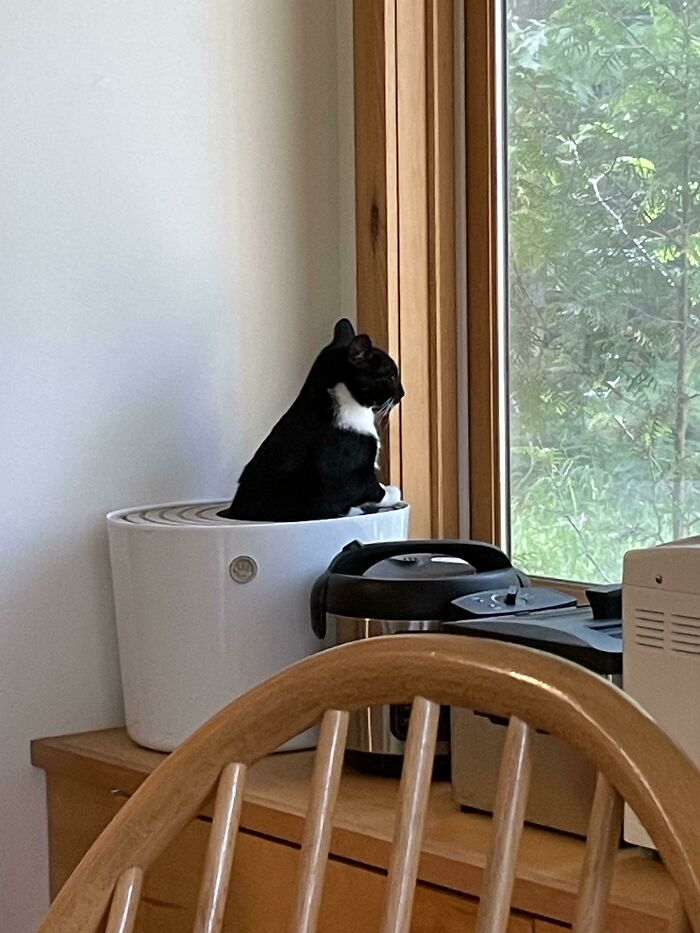 If Enjoying A View While Taking A Dump Is Wrong, He Don’t Wanna Be Right