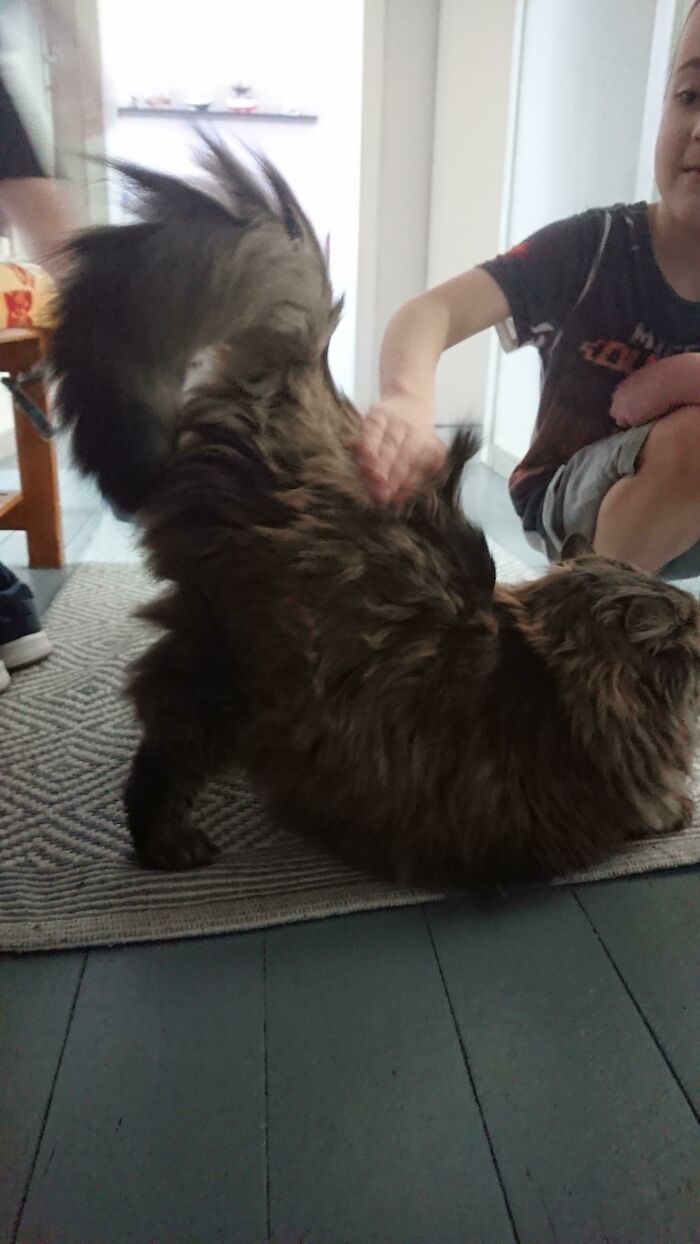 The Slightest Touch Activates This Pose