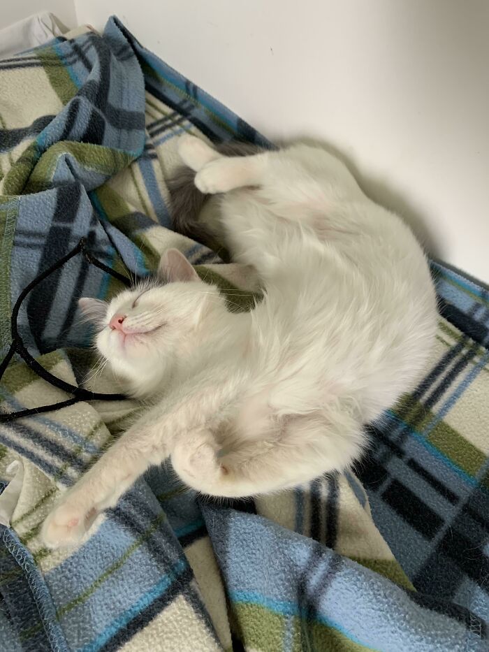 She’s Not Stretching, She Is Asleep