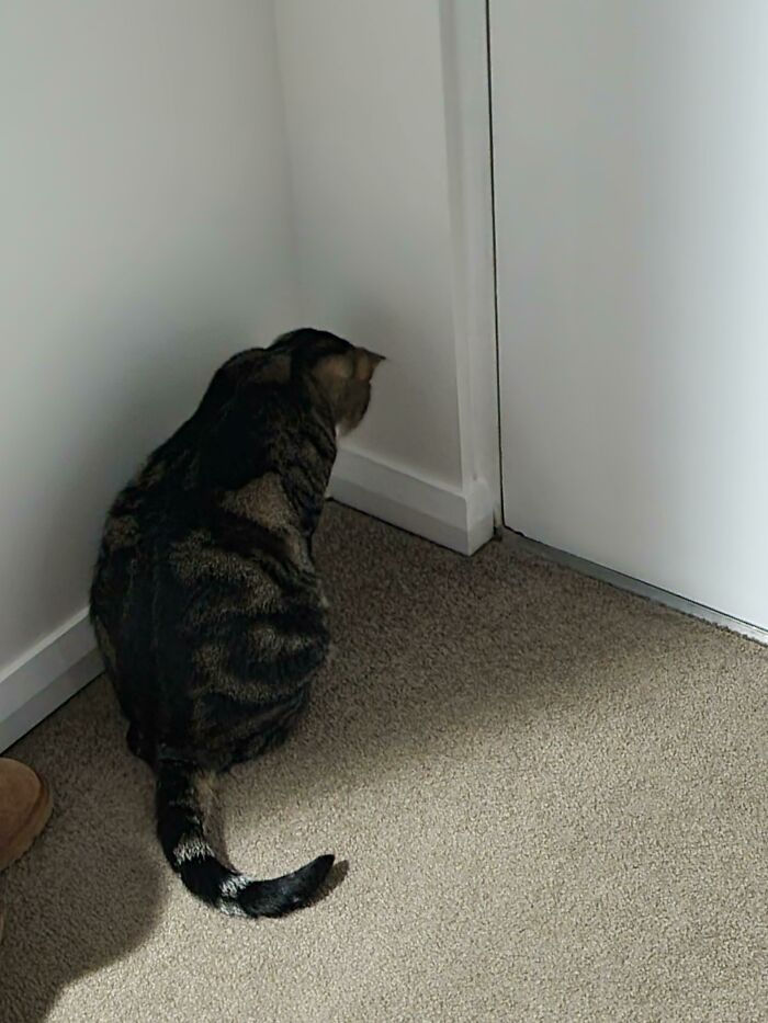 So He's Been Standing There For Over 10 Minutes Now