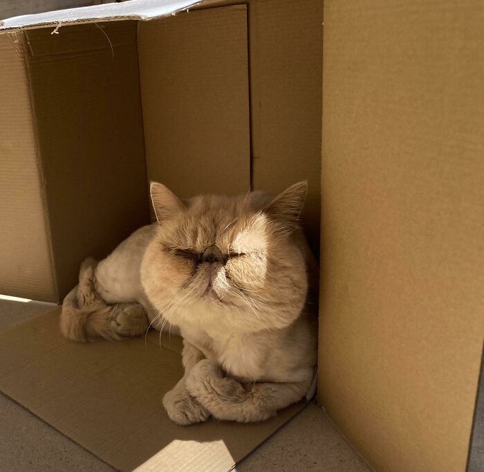 His Paws….i Think He’s Half-Noodle