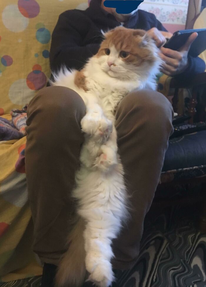 The Way He Likes To ¿sit?