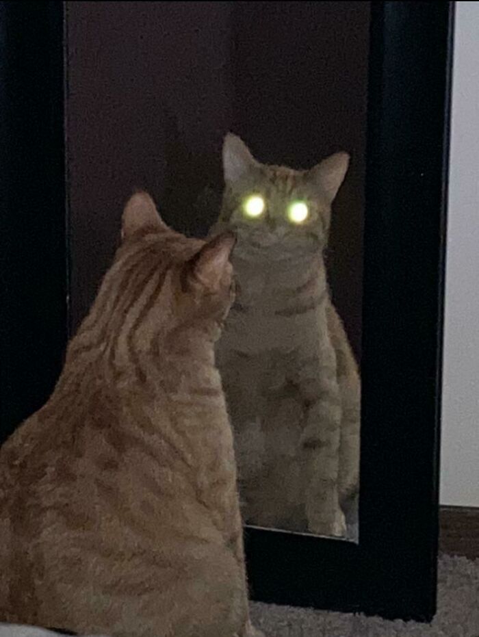 Do I Need The Ghost Busters Or A Priest?