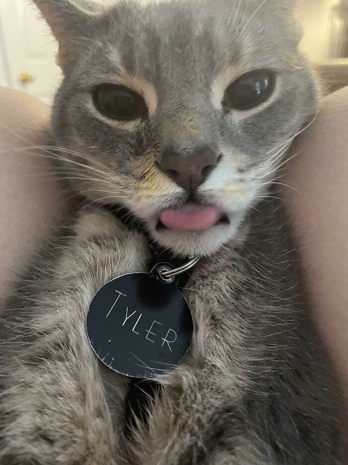 He Just Ate Some Of My Mac And Cheese I Left On The Table For One Second. That Was My Dinner