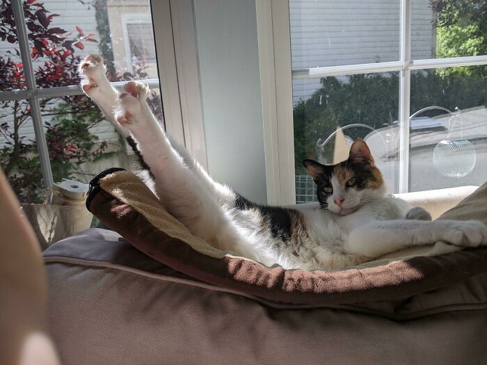 This Was Not Merely A Stretch - Hypatia Sat Like That For A Minute Or Two