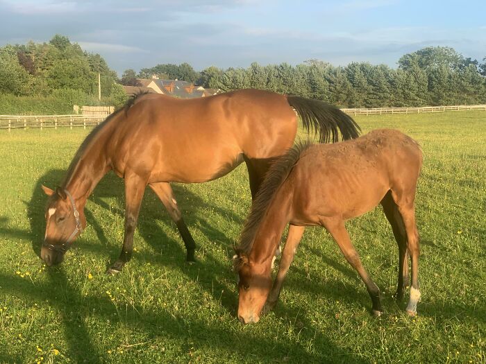 She's Such A Good Mother