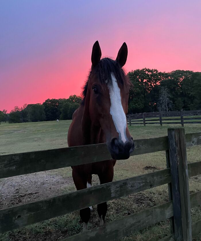 My Handsome Sunset Boy