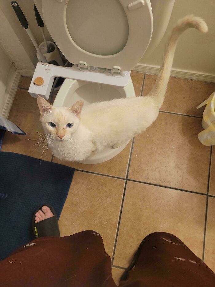 Every Time I Go To Take A Leak, She Wants To Play Goalie