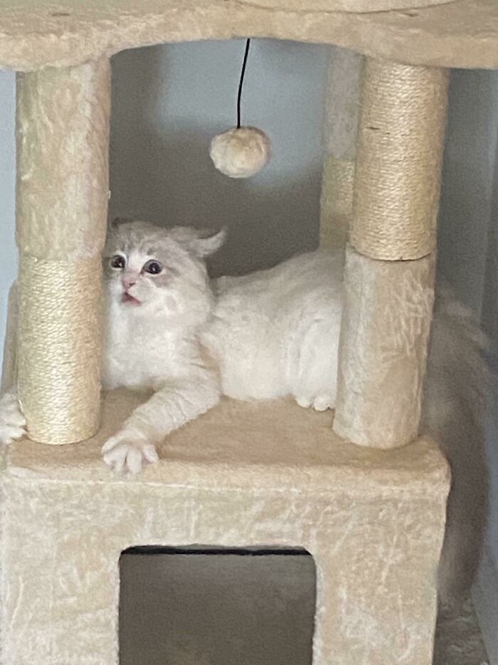 Literally Don’t Know What She Was Doing