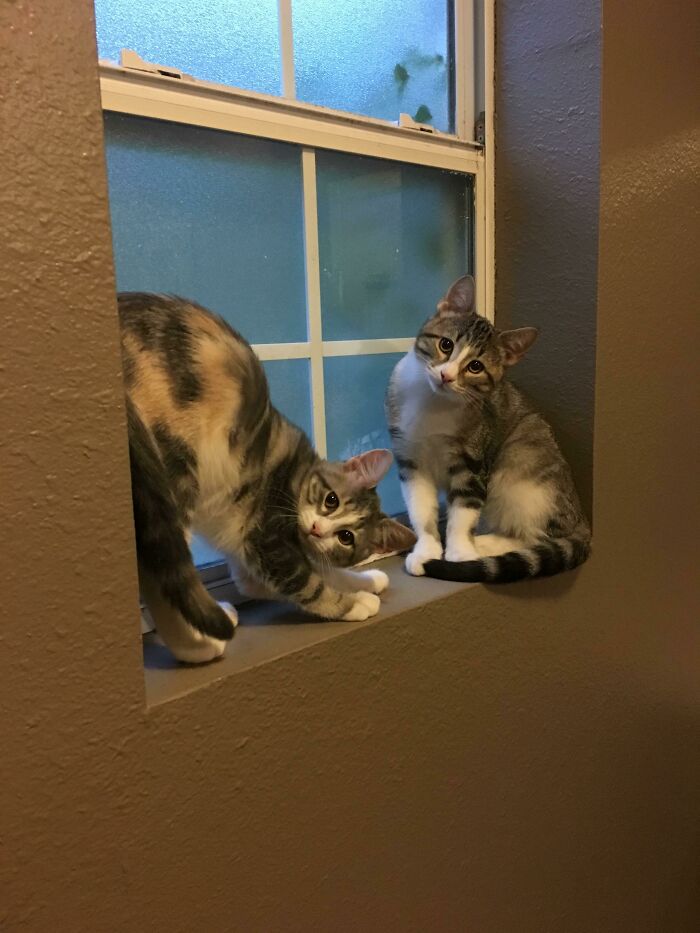 I Feel Like I Interrupted Something