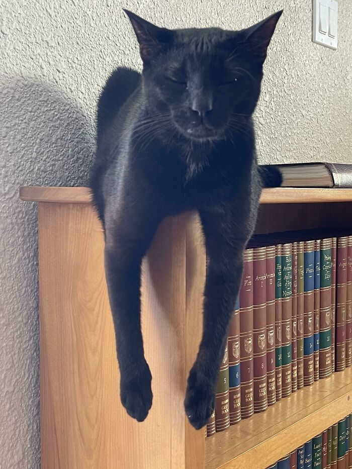 This Is How Fredward Likes To Take Naps