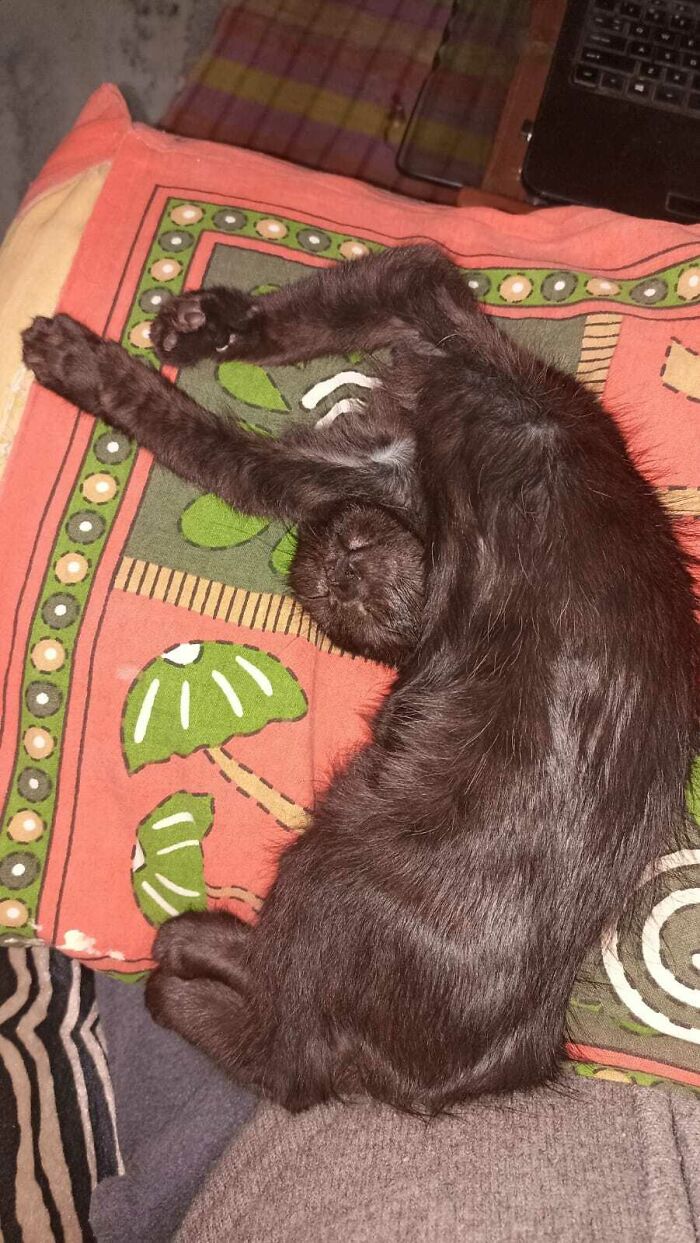 Always Wanted To Post This Here. One Night When She Forgot That She Have A Neck!