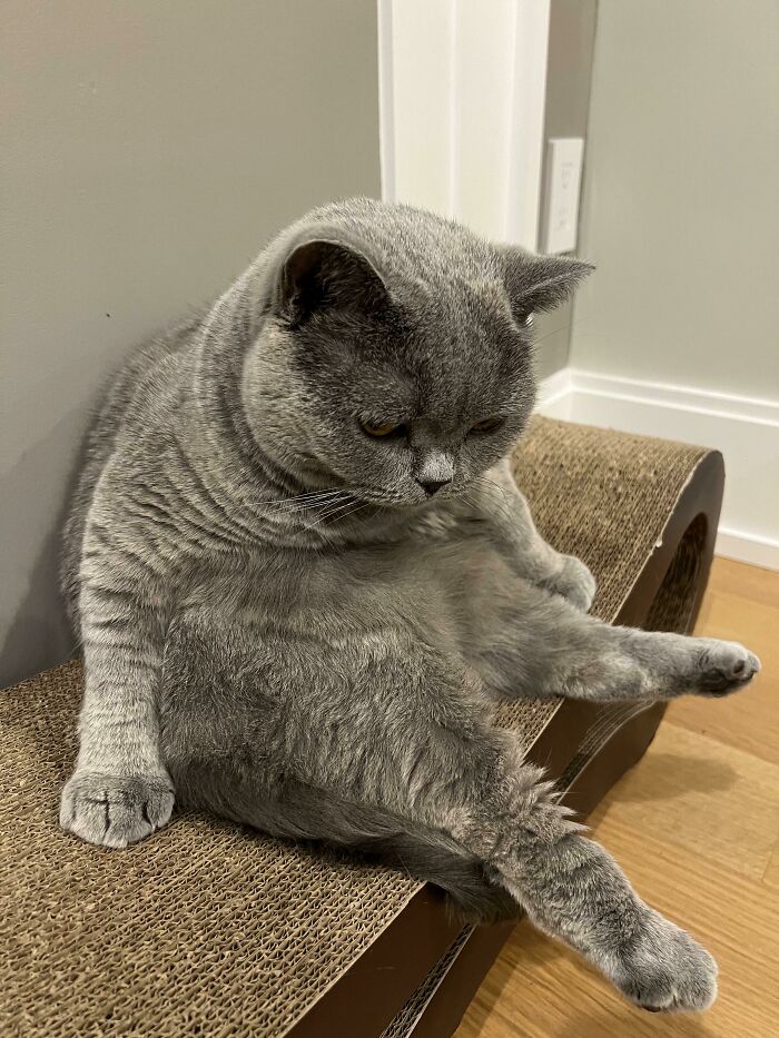 Sometimes She Just Looks Lost