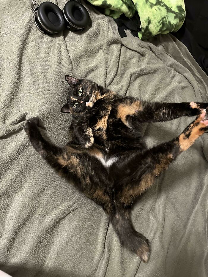 I Dont Know How To Caption This One