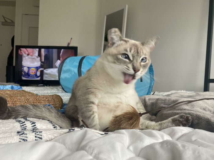 She Has Strong Feelings About Ranch Dressing