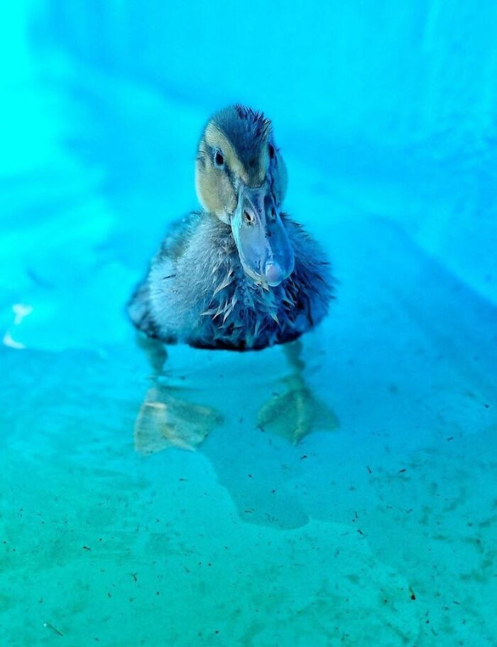 She Is Such A Little Beaut