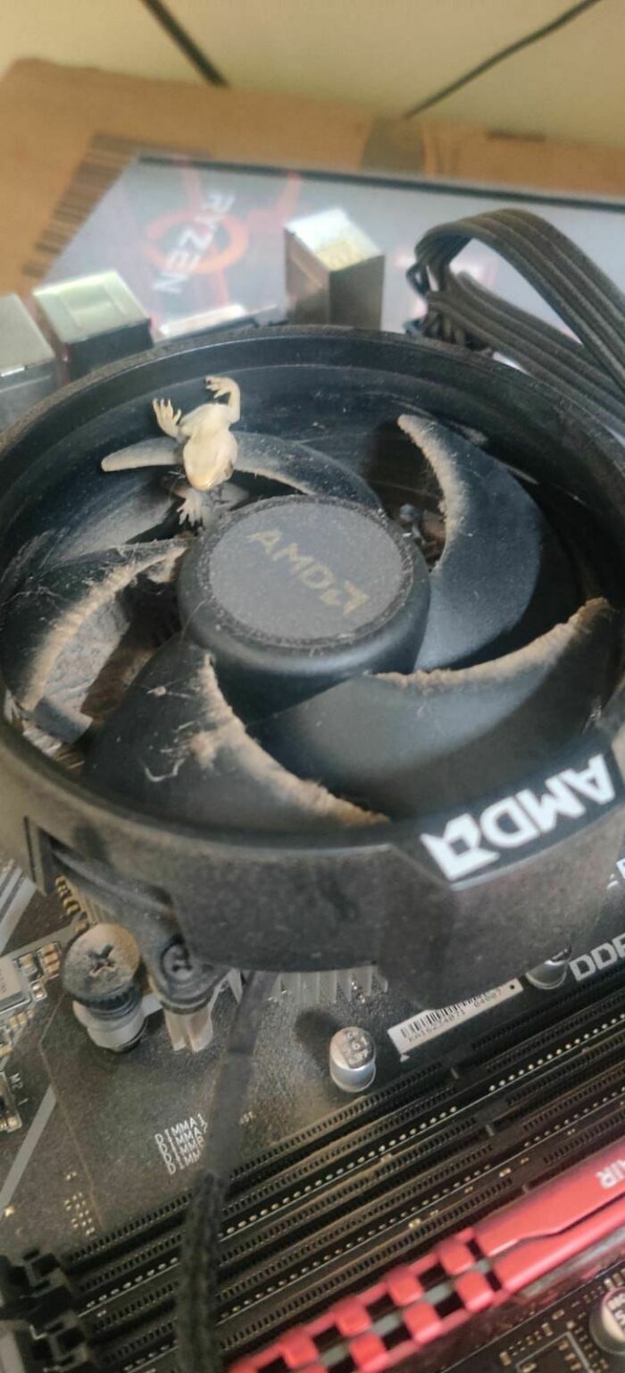 Client Said The Cpu Was Running Hot