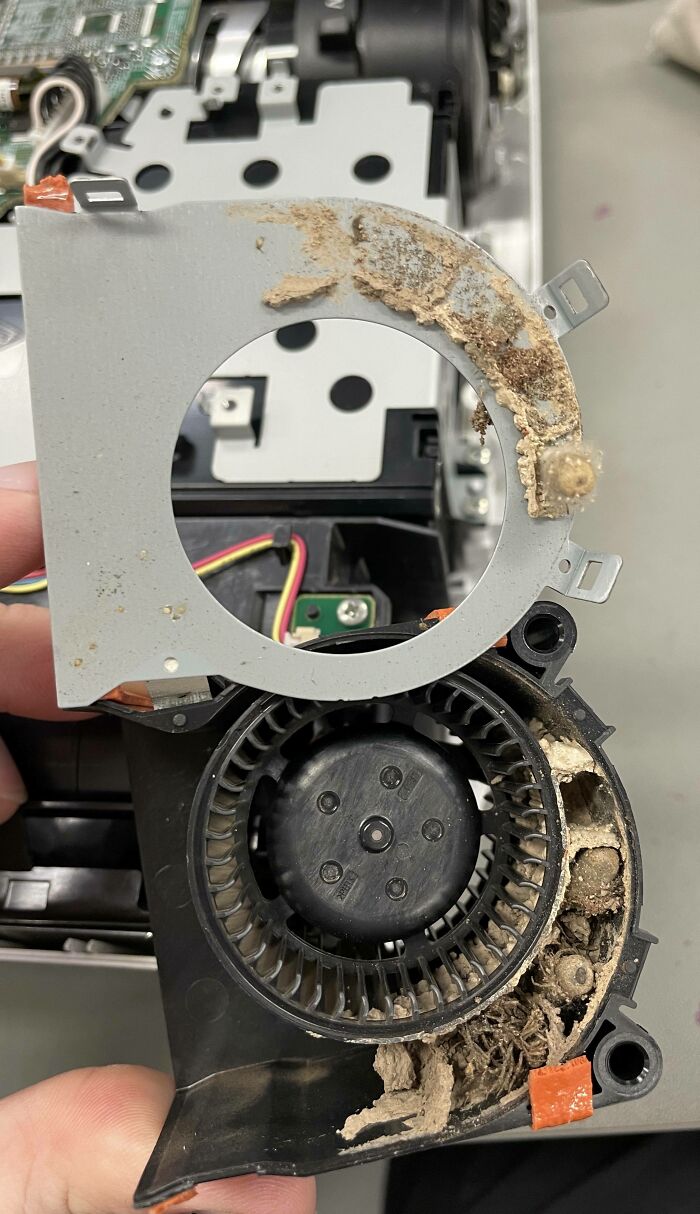 ¿Has oído que publicamos cosas encontradas en los proyectores? ¿Qué os parecen unas avispas? Un cliente afirma que "se sobrecalienta continuamente"