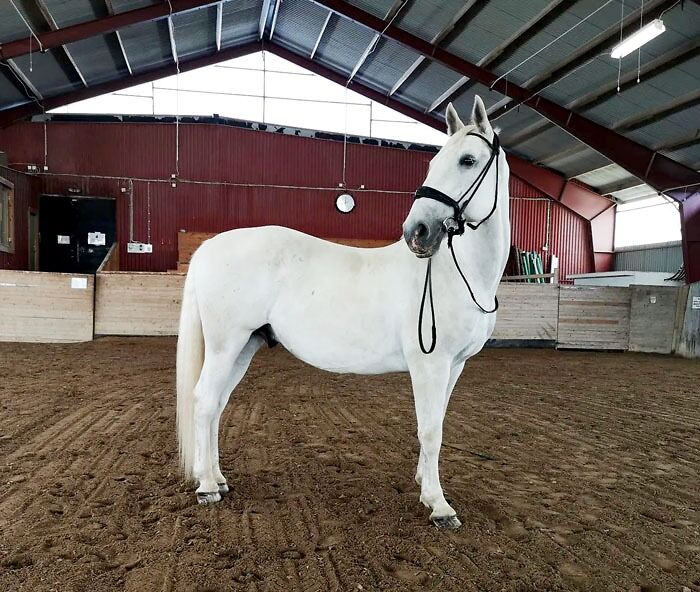 Today I Worked Hero From The Ground And At The Same Time Tried To Figure Out My Pivo