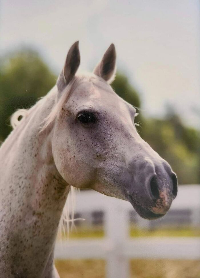 One Of My Favorite Pictures Of My Boy
