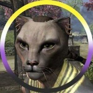 wmdkitty avatar