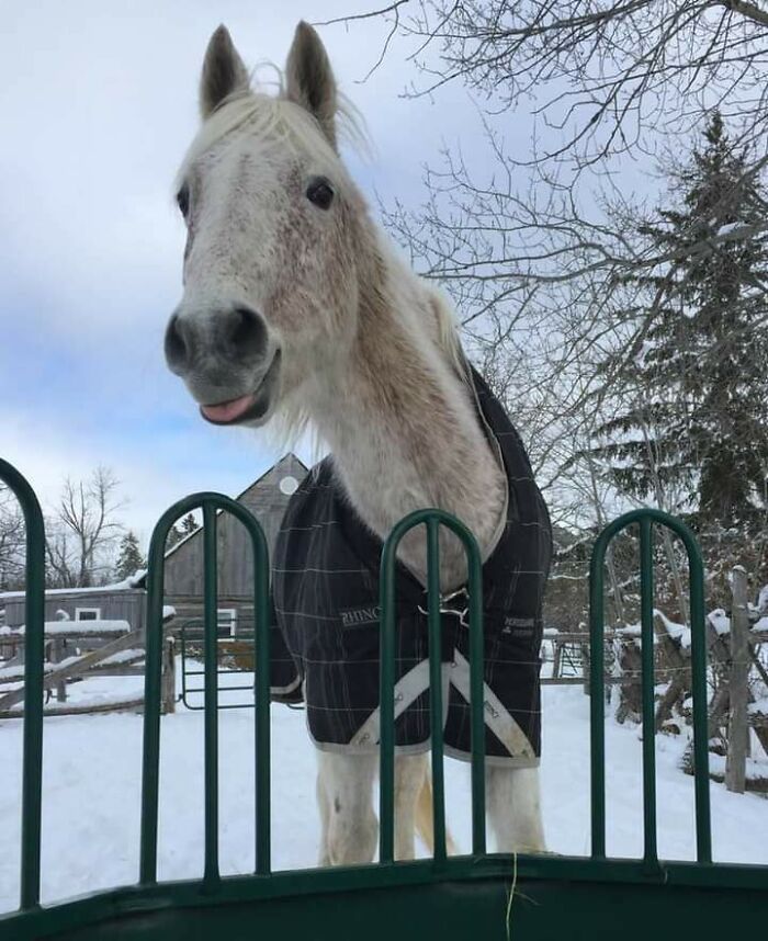 Le pedimos que sonriera