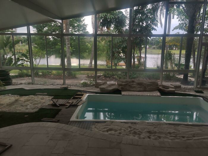 Mi madre compró una casa nueva y esto es lo que los anteriores dueños le hicieron a la piscina 