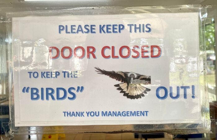 Must Be One Of Those People Who Thinks That Birds Aren’t Real