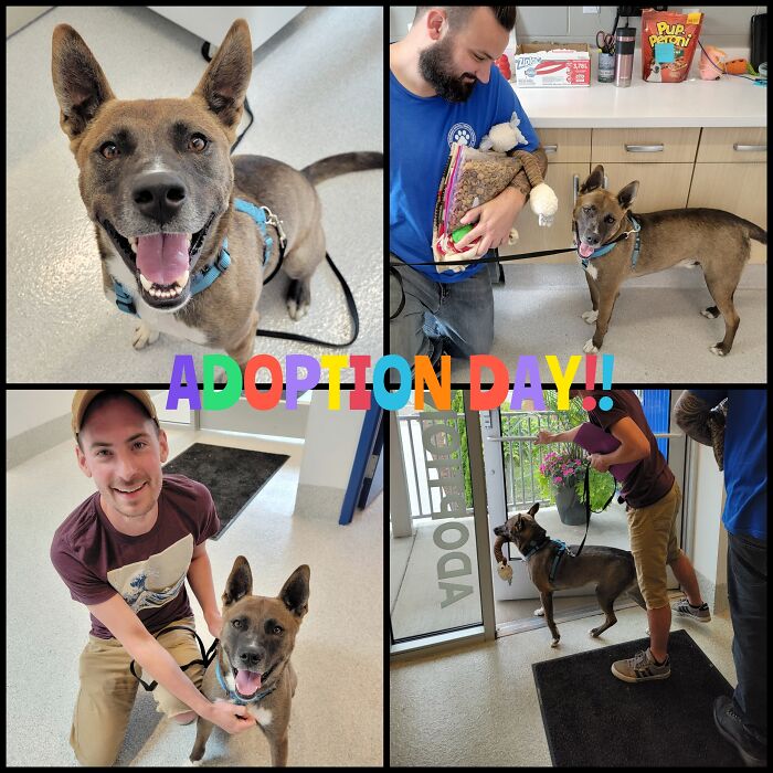 One Of The Longest-Tenured Residents At Our Shelter Got Adopted Today 