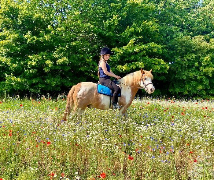 Just Had To Get This Cute Picture In The Meadow Near Our Yard During Our Early Morning Hack