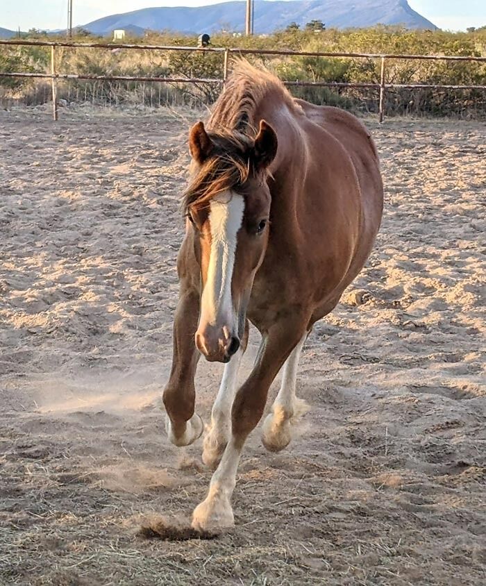 Mayday Mayday Red Girl Comin' In Hot