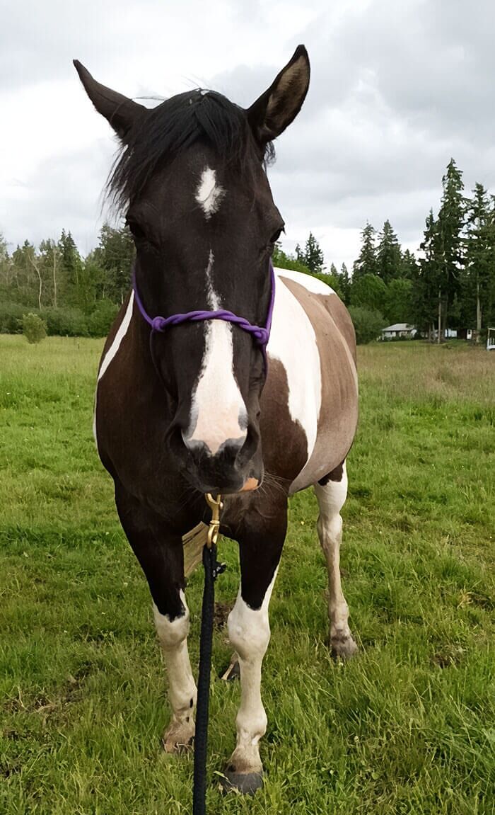 What Color Would Look Good On Her?