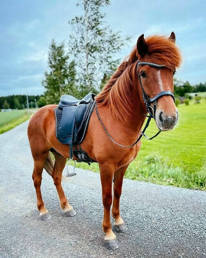 Vacation Is Over For My Two Diamonds And Soon Also For Me… Tomorrow I’m Back At Work, With A Heavy Feeling