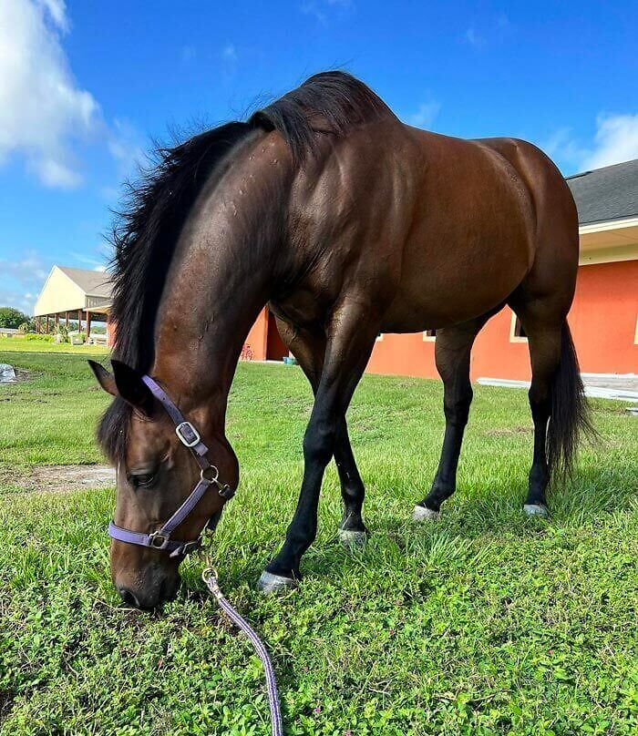 Testing My New Phone Camera With The Most Gorgeous Model