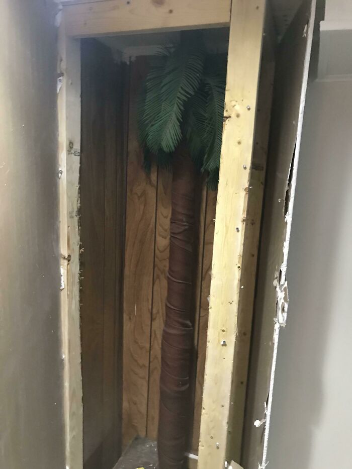 Bought A House 10 Months Ago. Found Today While Working On The Basement