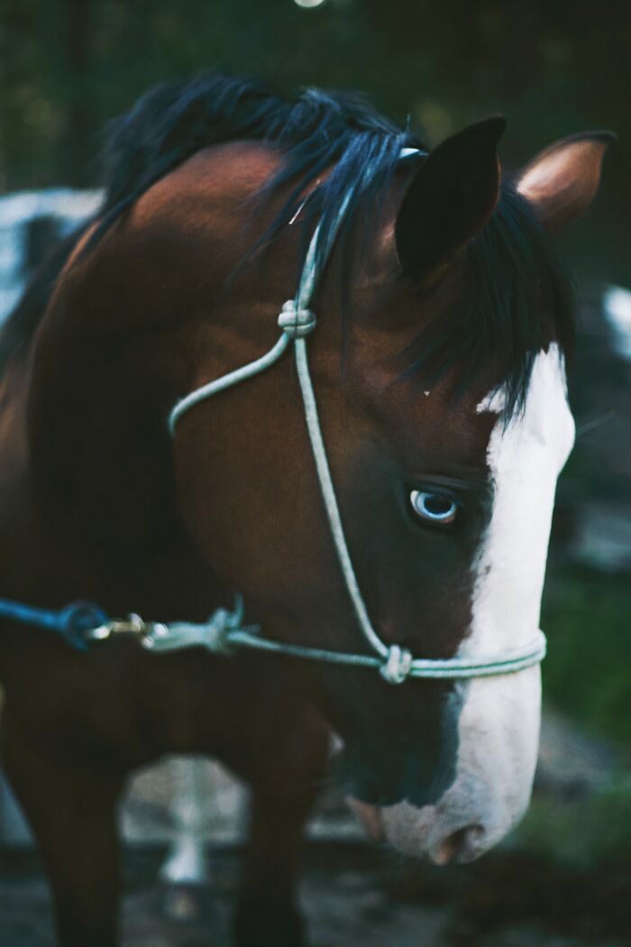 Posa en cada foto que le hago