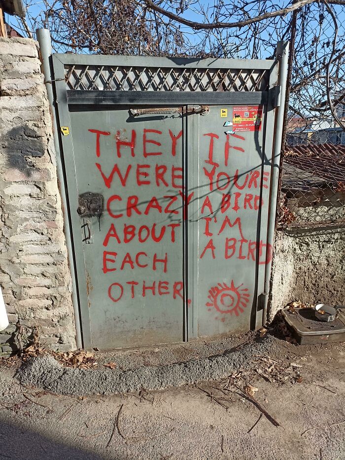 They If Were You're Crazy A Bird About I'm Each A Bird Other