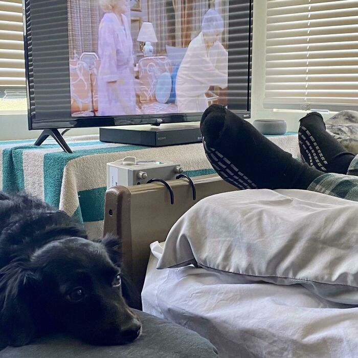 Been Caring For My Dad Who Has Terminal Cancer For 3 Months Now And This Guy Has Never Left His Side