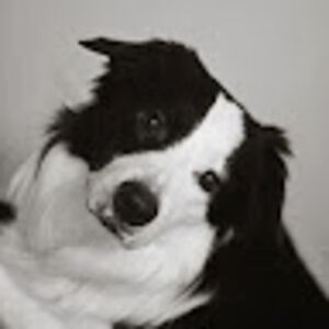 micahstafford avatar