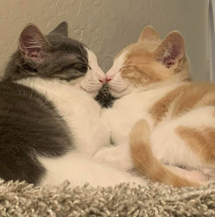 The Best Photo I Have Of My Boys