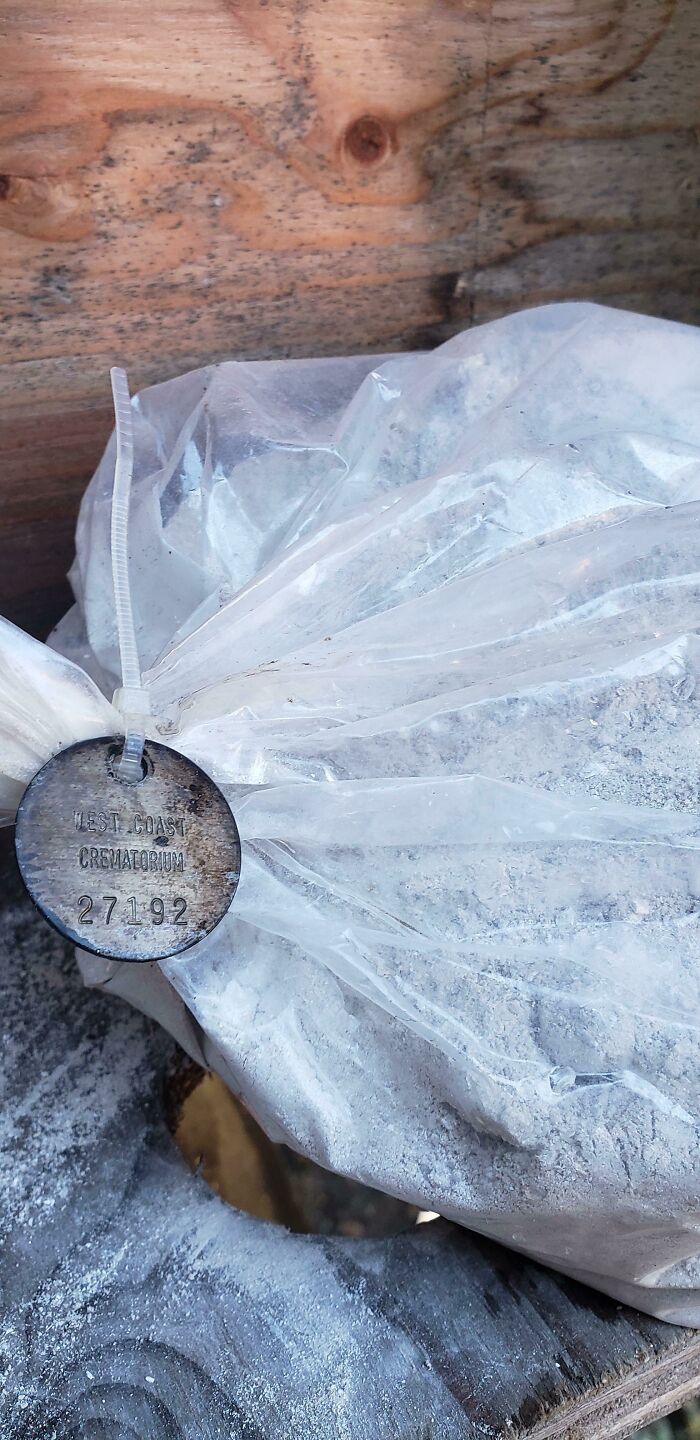 Found Original Homeowner In The Walls Of A Teardown