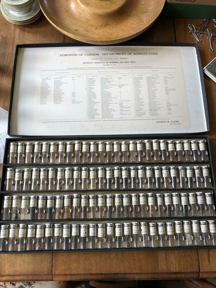 Collection Of Reference Seeds Found In My Grandad’s Attic