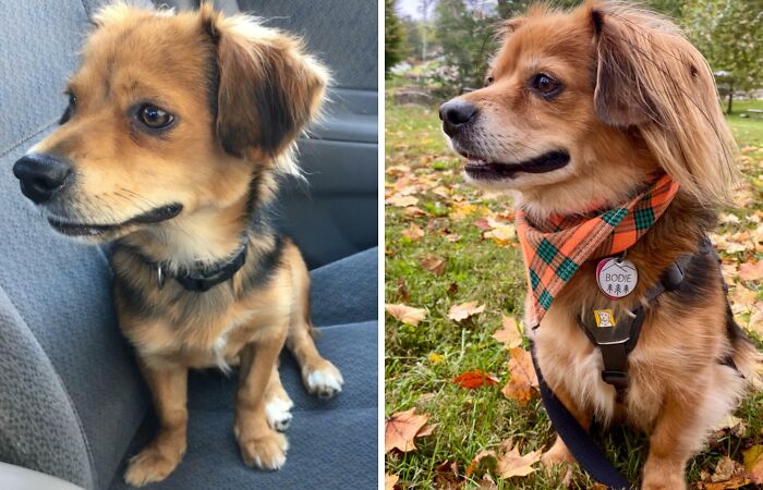 Five Years Since Adoption!