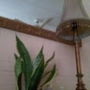 teresamartinez_1 avatar