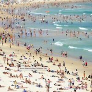 michellefacchini222 avatar