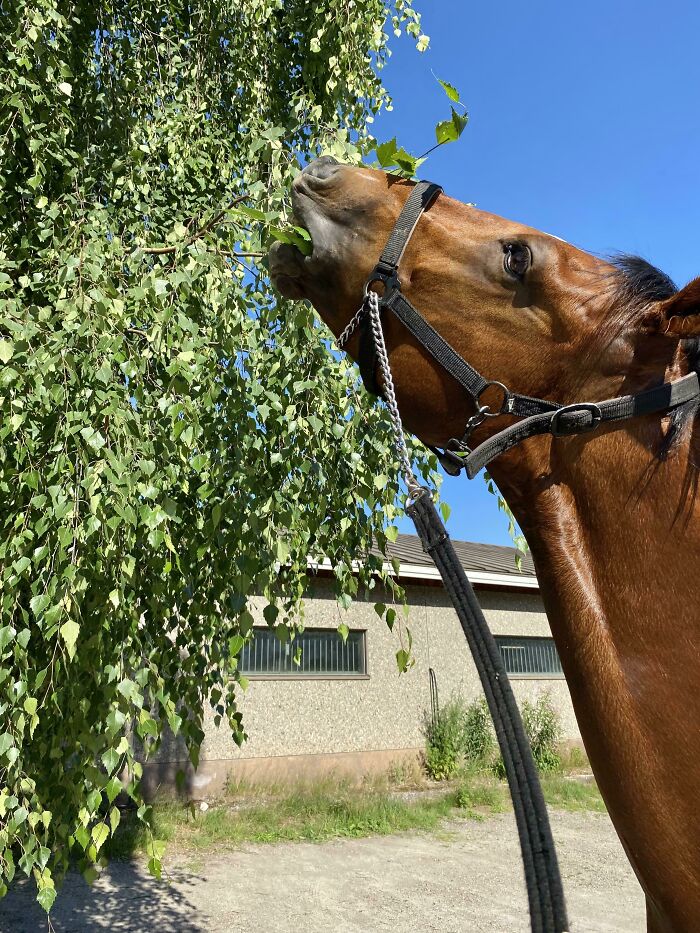 Snack After Hard Workout