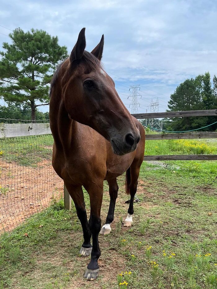 Appreciation Post For My Girl