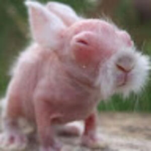 johnmichaelriley avatar