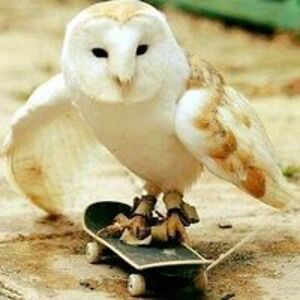 ramirez_gabri03 avatar